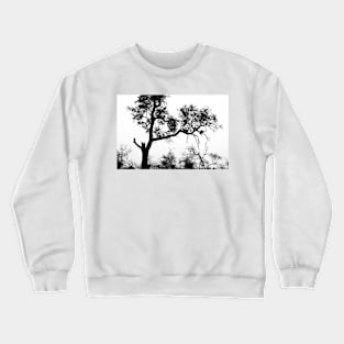 African White-backed Vultures in Silhouette Crewneck Sweatshirt